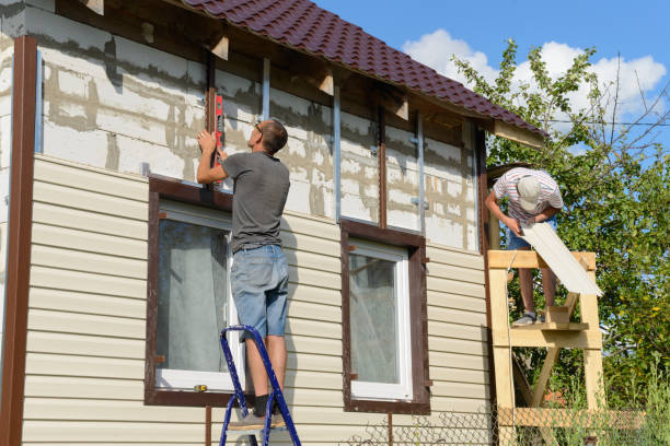 Best Stone Veneer Siding  in Maynardville, TN